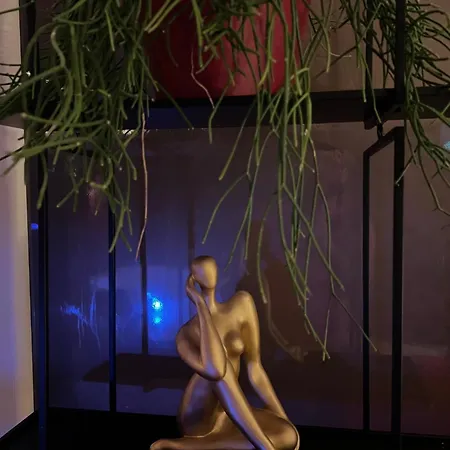 情趣酒店 50 Nuances De Parentheses *